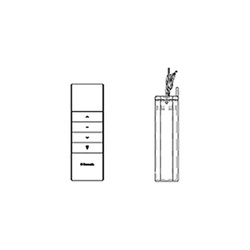 Fernbedienung 12V mit Receiver