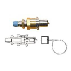 Schnelltrennkupplung Entlüftungsbulkhead 3/8 Npt Endanschluss - 12895