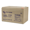 12V/14Ah AGM Deep Cycle Victron Batterie