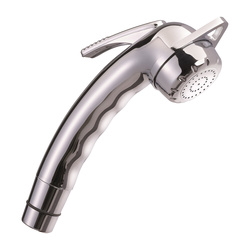 Reich Charisma Duschkopf Verstellbar Chrom ½" 6 bar